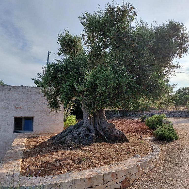 Il nido delle rondini - Casa Vacanze - 86
