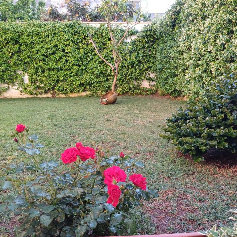Casa Romeo - Casa con 2 Camere da Letto - 37