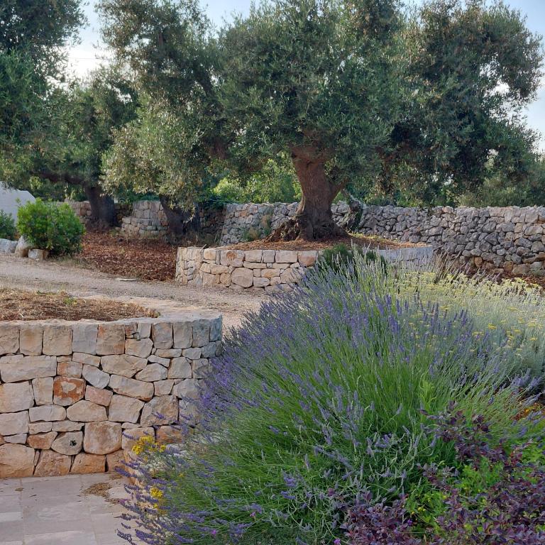 Il nido delle rondini - Casa Vacanze - 87