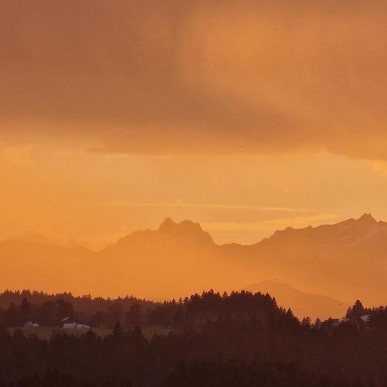 Blütenlodge Allgäu - FeWo Hochgrat - Apartment mit 1 Schlafzimmer - 24