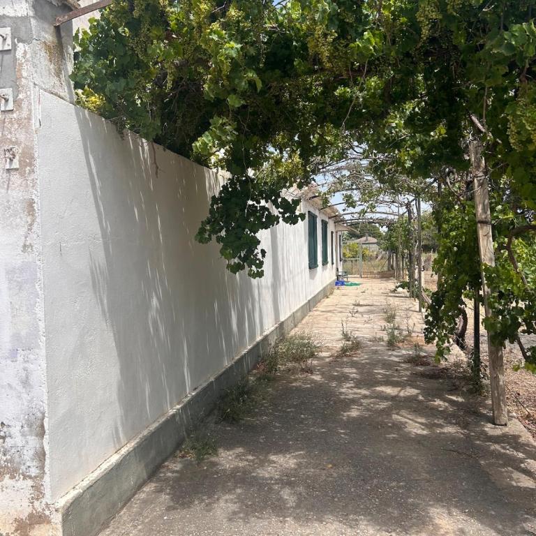 Casas con algo mas - Casa de 5 dormitorios - 14