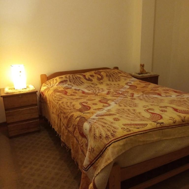 Departamento en Casa de Marlene y Américo - Apartamento de 1 dormitorio - 2