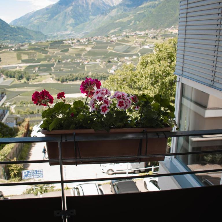 Hotel Tannerhof - Appartamento con 1 Camera da Letto e Balcone - 5