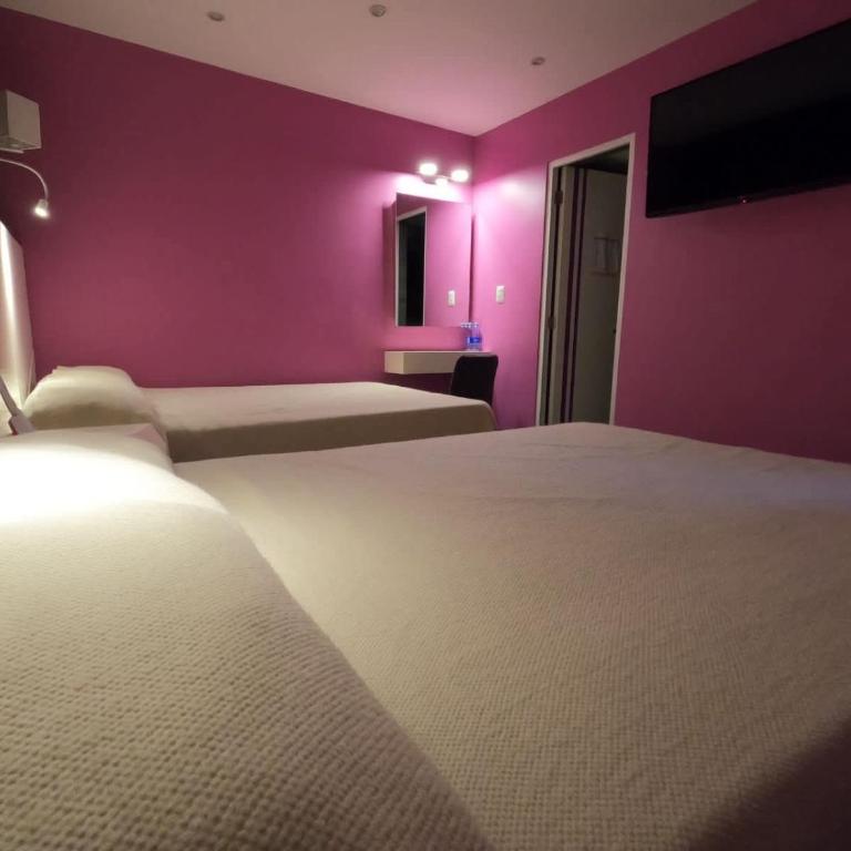 Hotel Arizona - Suite Double Standard - 1