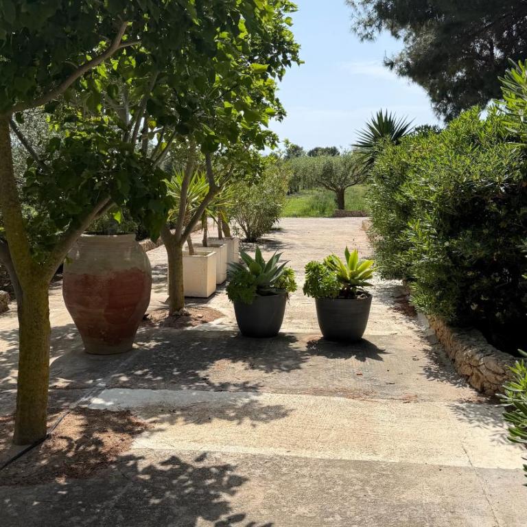 Casa ulivo Agave Favignana At My Place - Appartamento con 1 Camera da Letto - 3