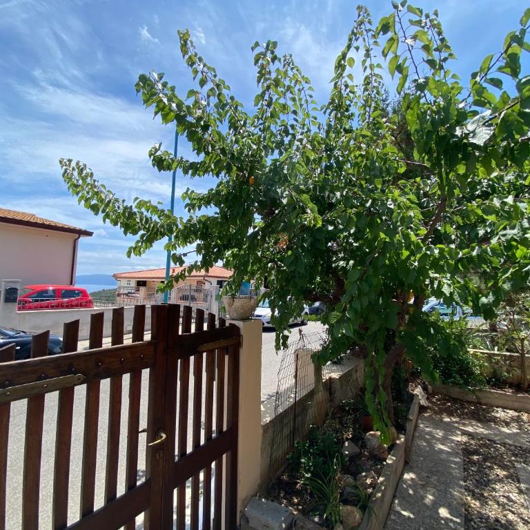 Rosemary Apartment - Appartamento con 2 Camere da Letto - 6