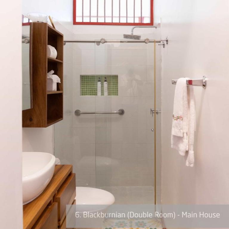 Hacienda Venecia Coffee Farm Hotel - Suite - 3