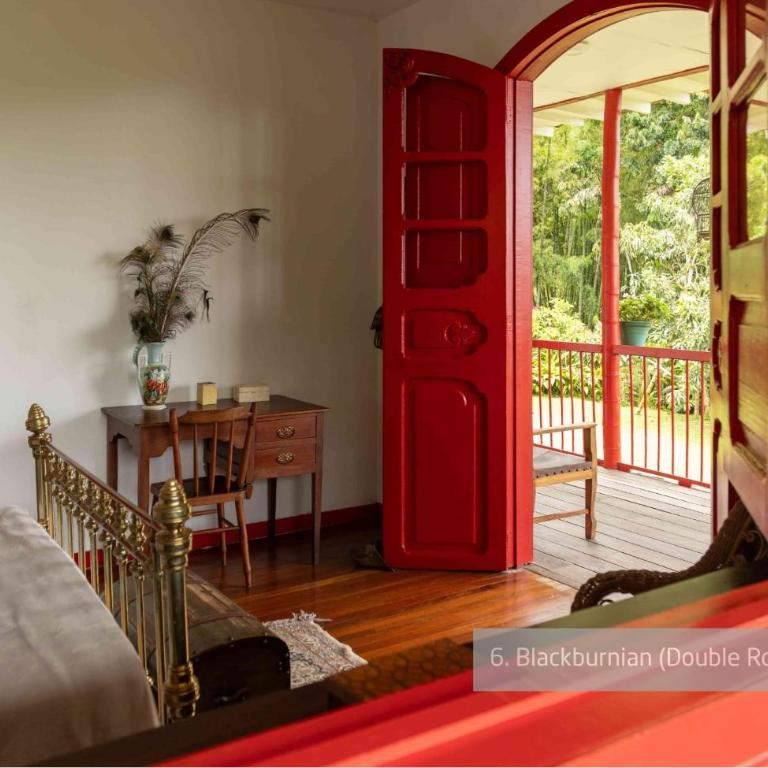 Hacienda Venecia Coffee Farm Hotel - Suite - 4