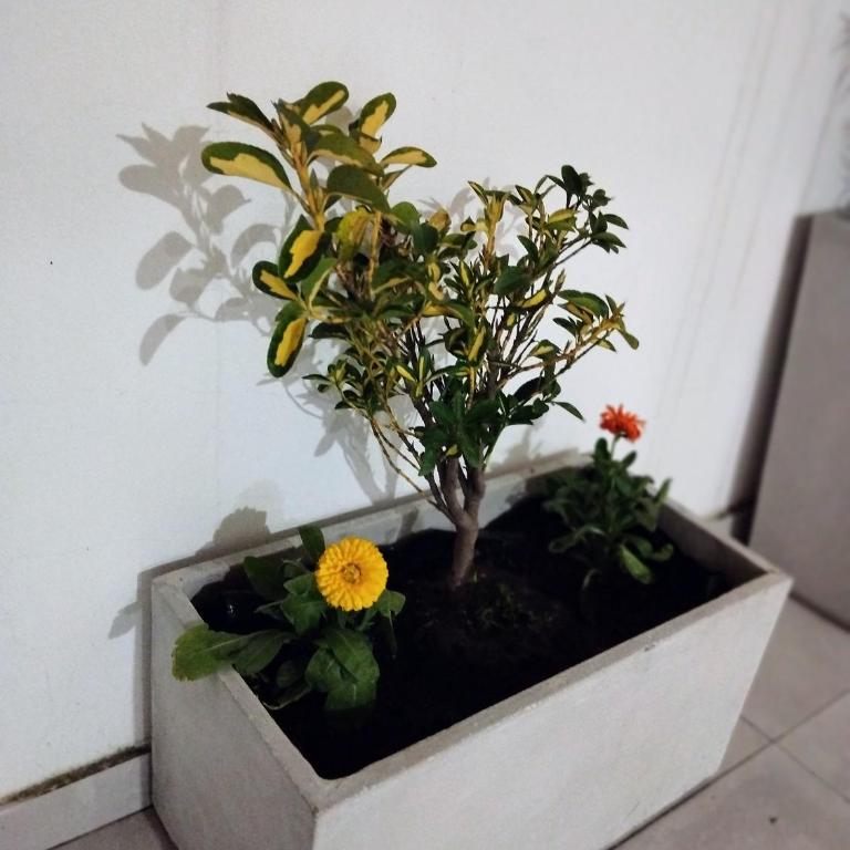 Diseñado para vos, a pasos de Bv Oroño con cochera opcional - Apartamento de 1 dormitorio - 35