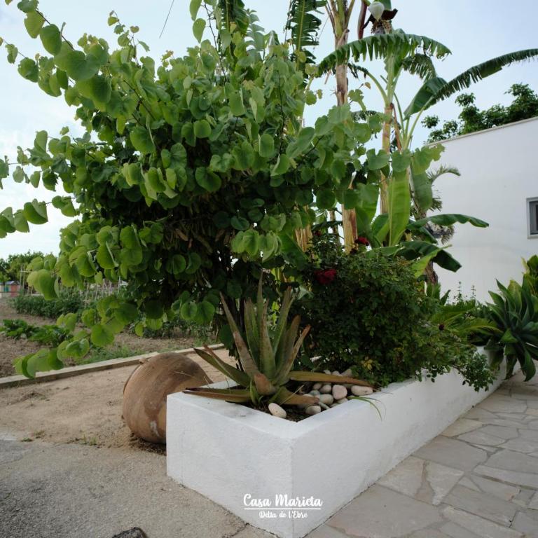 Casa Marieta A - Ideal per a families - Ferienhaus - 31