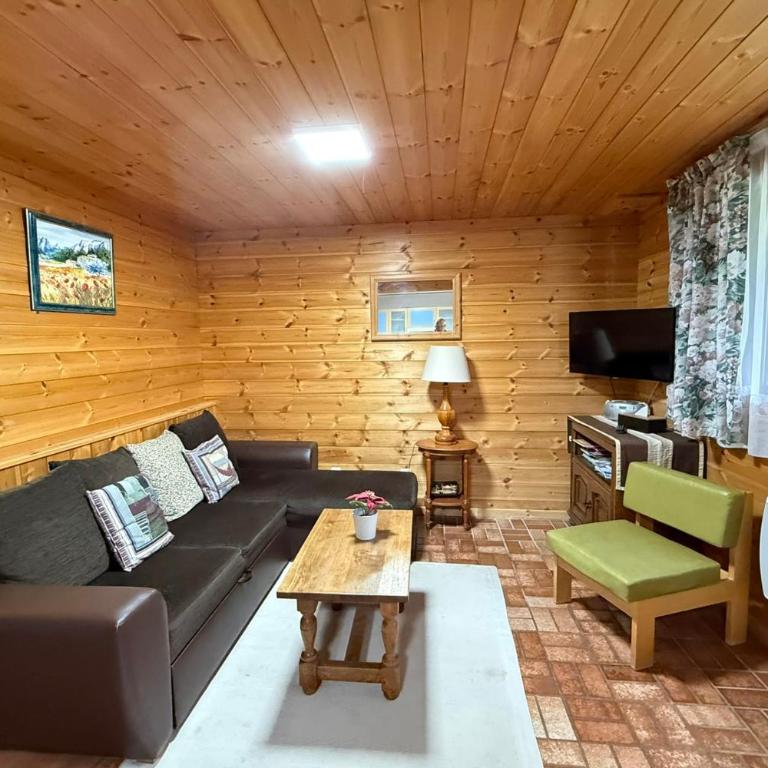 Vars Les Claux 50 m des pistes 3 ch Vue montagne - Appartamento - 1