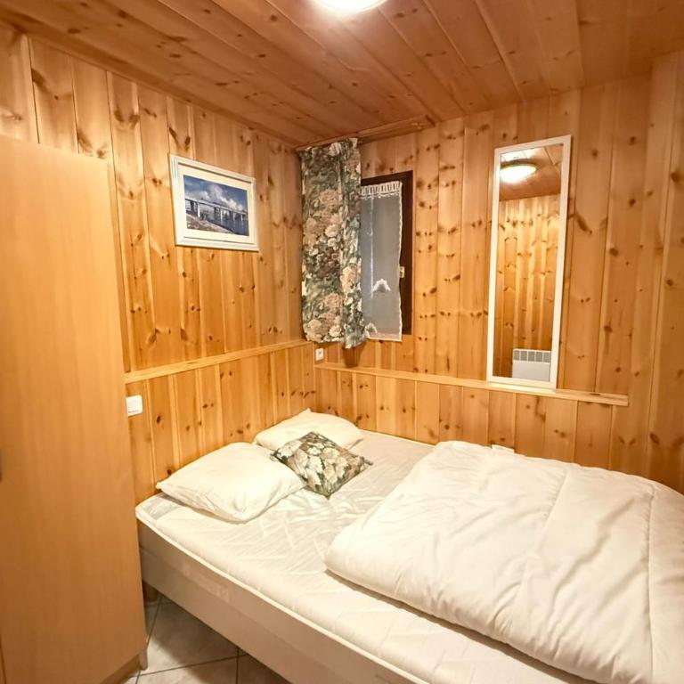 Vars Les Claux 50 m des pistes 3 ch Vue montagne - Appartamento - 6