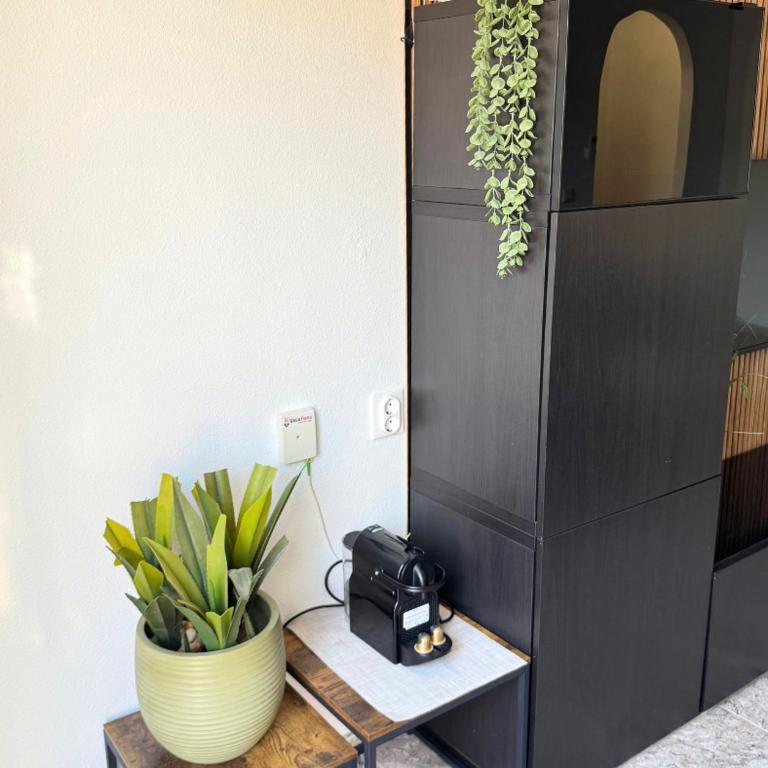 Apartament Kapias Torrevieja - Apartment mit 2 Schlafzimmern - 12