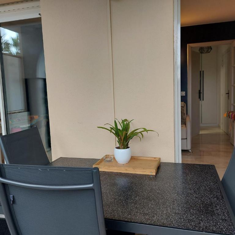 Bagatelle Studio 3étoiles rez de jardin Axelle LocAppart - Appartement 1 Chambre - 18