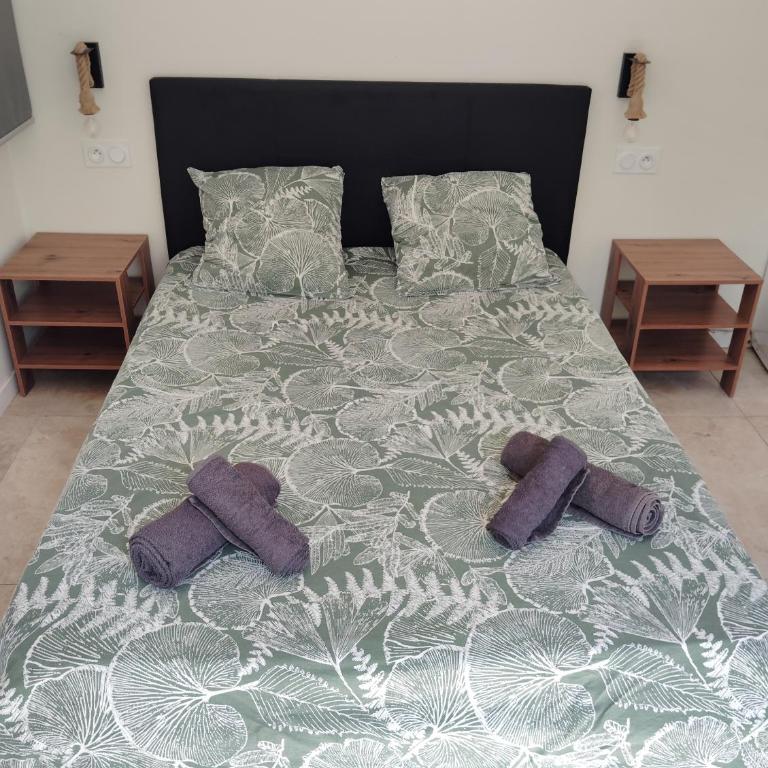 Maison individuelle jardin et balnéo - Villa de 1 dormitorio - 4