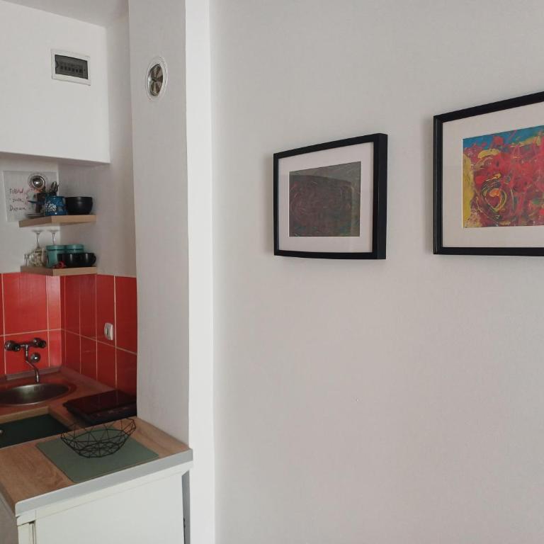 Apartmani Sofija *** - Studio s Pogledom na Vrt - 13