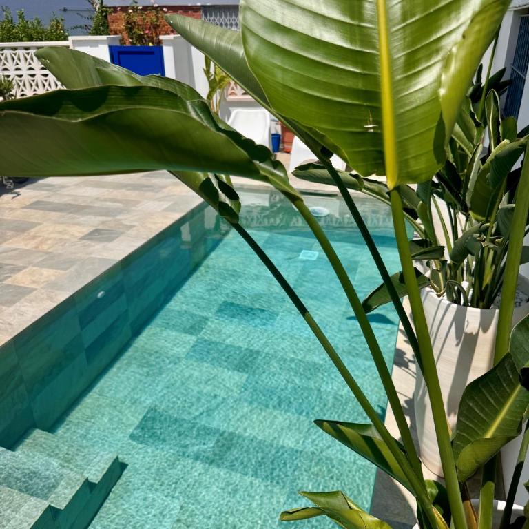 Casita del Flamenco - Poolvilla - Villa con piscina privada - 64