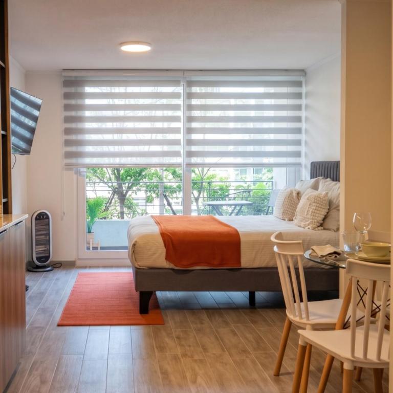 Studio Cercano al Movistar Arena y Parque Ohiggins - Apartamento de 1 dormitorio - 1