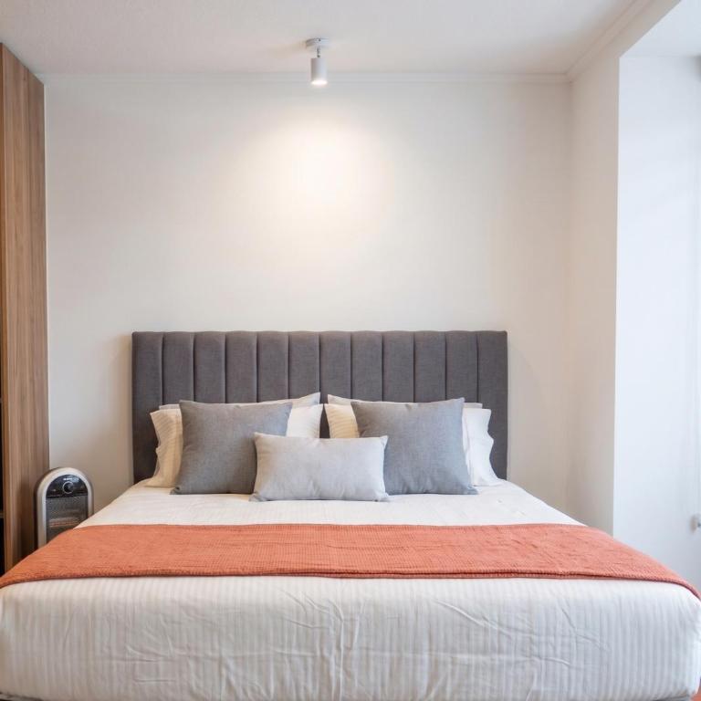 Studio Cercano al Movistar Arena y Parque Ohiggins - Apartamento de 1 dormitorio - 4