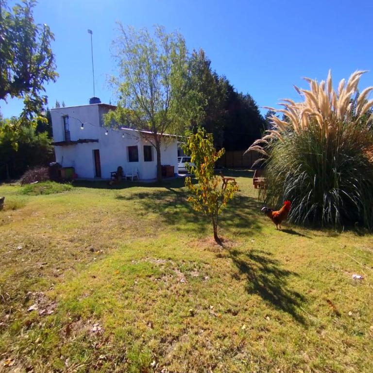 La Casa del Arte - One-Bedroom House - 1