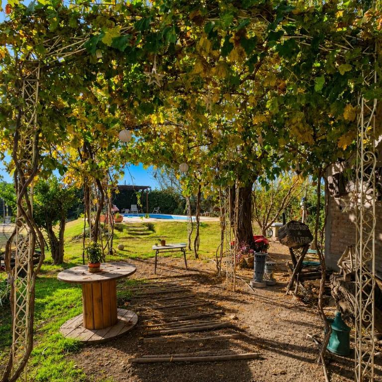 Quinta La Soñada, Medanito de Oro - Casa con 1 dormitorio - 10