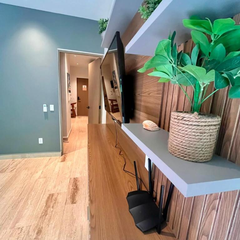 Departamento 1 habitacion, a 3 cuadras de ADO - Apartment - Ground Floor - 16