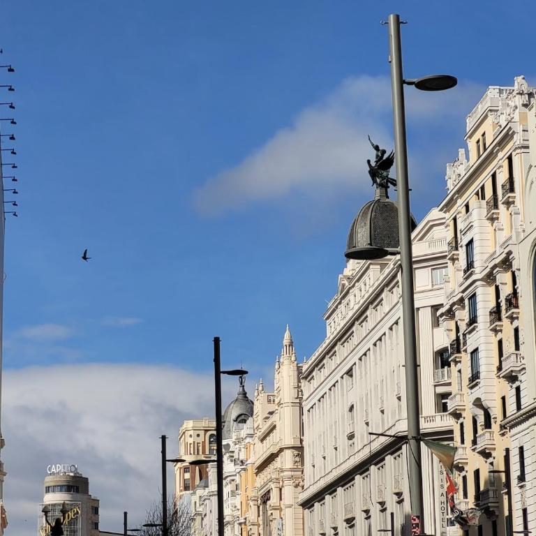 Exclusive studio next to Gran Vía with a jacuzzi - Apartamento de 1 dormitorio - 27