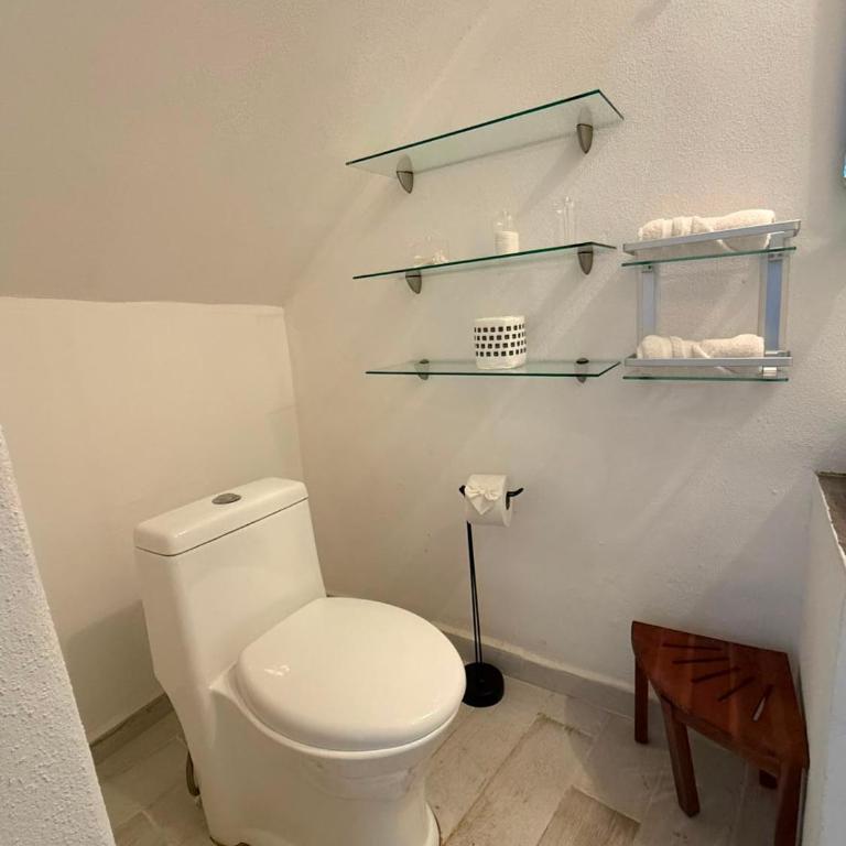 Departamento Tortuga - Apartamento de 1 dormitorio - 43