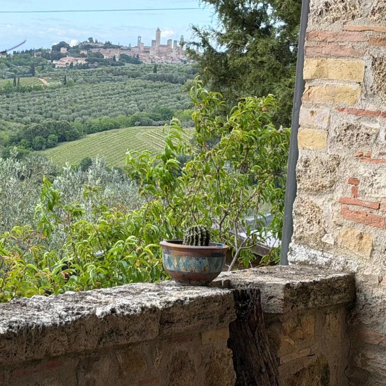 Casa alle Allodole - Appartamento con 2 Camere da Letto - 1