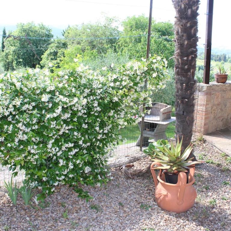 Casa alle Allodole - Appartamento con 2 Camere da Letto - 8