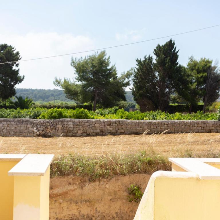 Salsedine e pini by Casavacanze di Angelo - Appartamento con Terrazza - 11