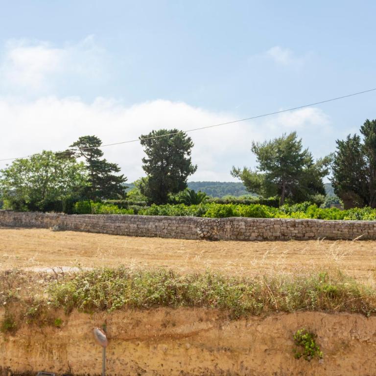 Salsedine e pini by Casavacanze di Angelo - Appartamento con Terrazza - 15