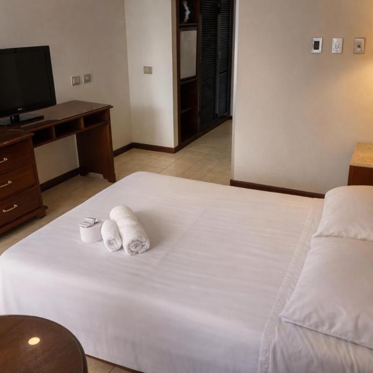 Hotel Asturias - Habitación Doble Estándar con vistas al jardín - 2 camas - 22