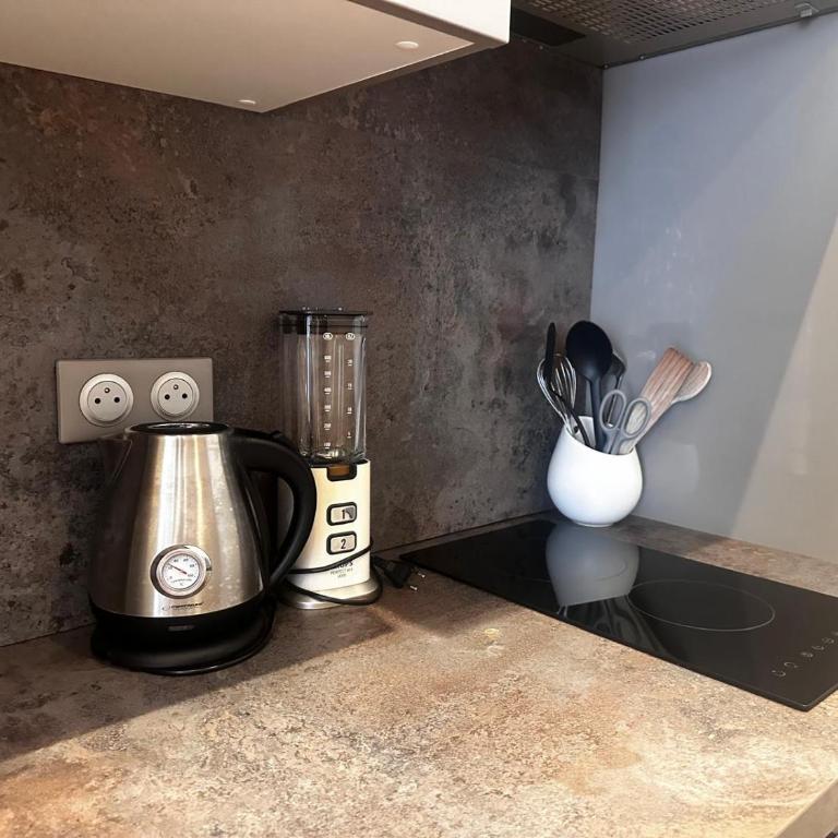 Le Niçois Élégant 2pièces climatisé cœur port Nice - Appartement 1 Chambre - 9