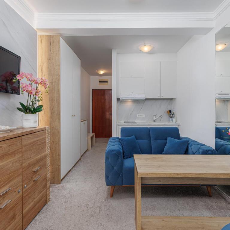 First Line Sea View apartment in Rafailovici - Studio sa Pogledom na More - 5