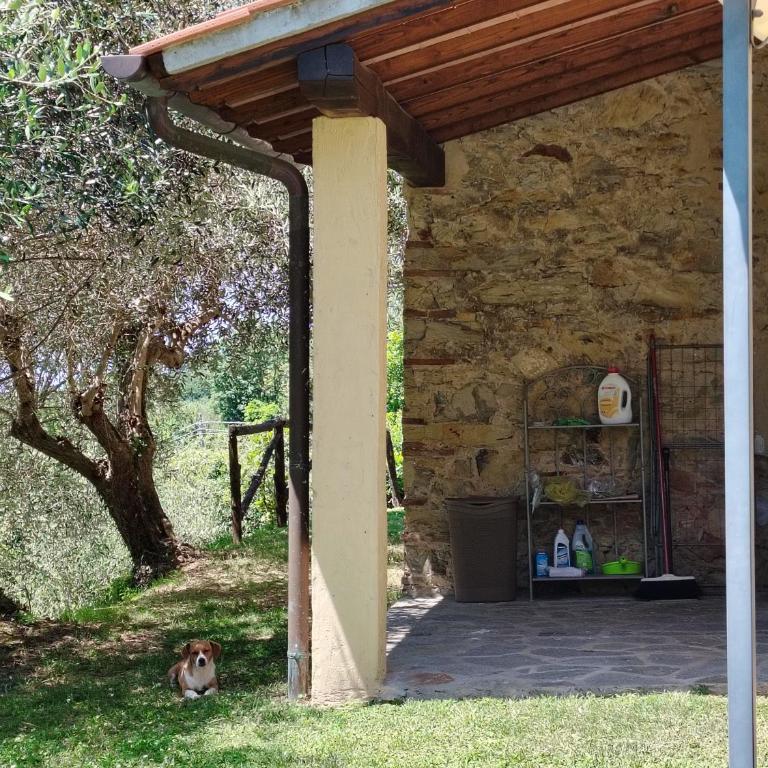 Rustico Lo Scarpone - Casa - 5