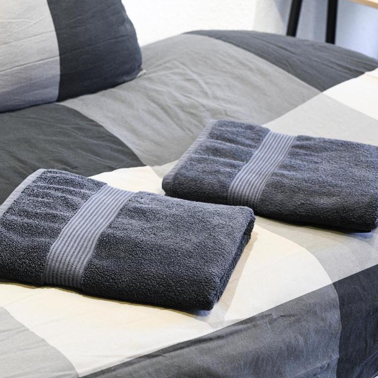 Appartement Cosy - Business & Détente - Lacs & Chartreuse - Proche A43 - Appartement 1 Chambre - 21