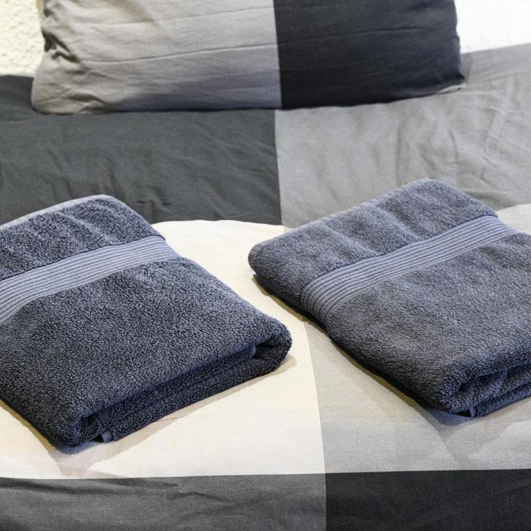 Appartement Cosy - Business & Détente - Lacs & Chartreuse - Proche A43 - Appartement 1 Chambre - 19