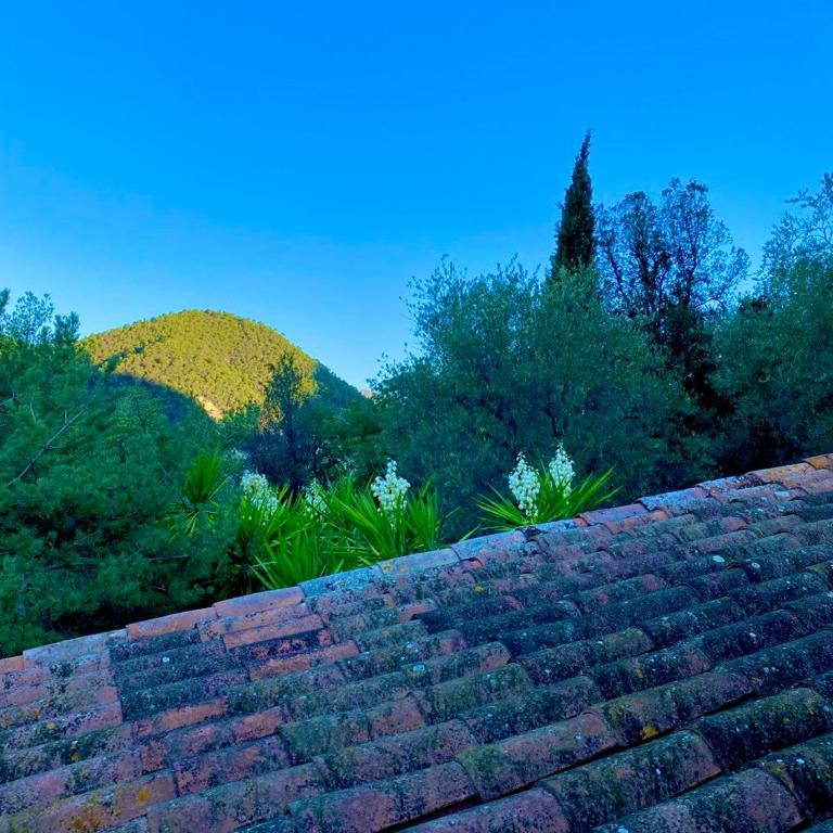 Authentic charming Provencal Villa in mountain 20 kms from Monaco and Nice - Villa 2 Chambres - 40