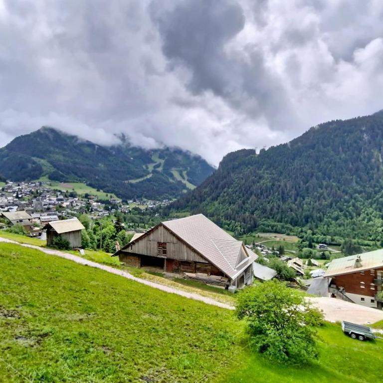 Hameau des 4 Saisons HSA14 MOUNTAIN & SUN 4 Pers - Studio - 8