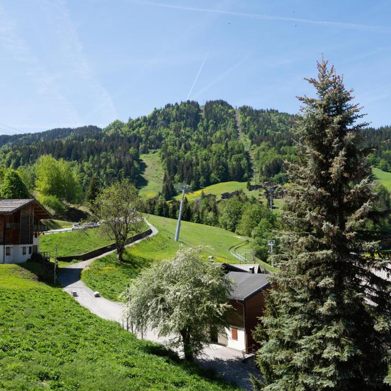 11 Appartements LE CHALET DU PLESSIS de 2 à 10 personnes au cœur du village - Appartement 1 Chambre - 11