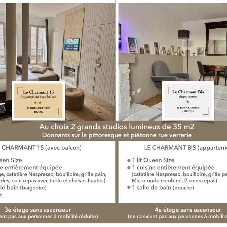 Centre historique Dijon "Le Charmant" et "Le Charmant Bis" - Apartamento con balcón - 14