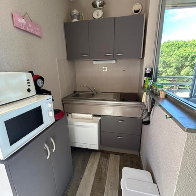 Vittoria Immobilier 1-REGLEMENT SUR PLACE - Chèques Vacances acceptés - Studio with Garden View - 4