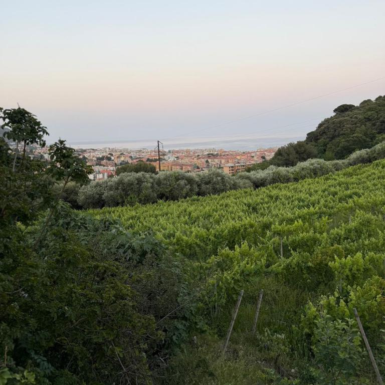 Enjoy the stunning views in Muzazzi, our Riviera Home - Casa Vacanze - 5