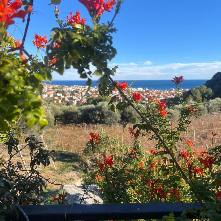 Enjoy the stunning views in Muzazzi, our Riviera Home - Casa Vacanze - 60
