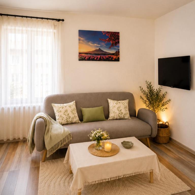 Central Location Old Town Sarajevo - Near Cathedral Apartment - Apartman sa 1 Spavaćom Sobom - 4