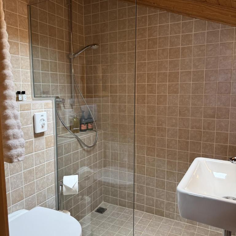 Central Verbier 5-bedroom Penthouse with Pool, Sauna, Gym, Stunning View - Appartement - 40