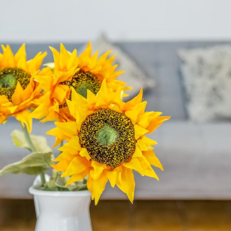 Sunflower Siroco - Apartamento Superior de 1 dormitorio con balcón - 9