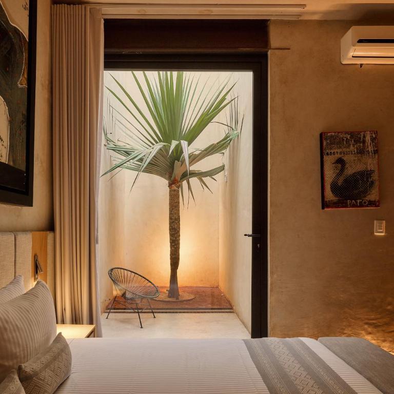 Casa Carmen Reforma - Suite - 4