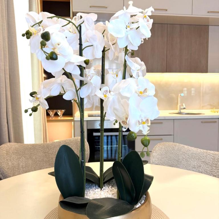 Brand new Vanilla suite with free parking - Appartement 2 Chambres - 14